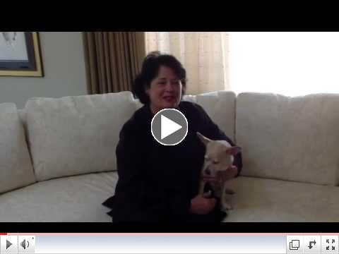 Linda Reinstein, ADAO President's Message 