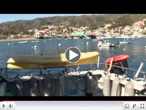 Scuba LUV Dive Shop and King Neptune Dive Charters, Avalon, Catalina Island