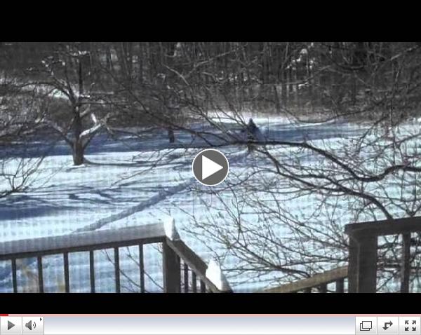 Susanna - snow shoeing