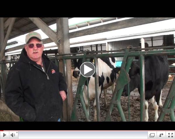 Knebel Circle K Farms