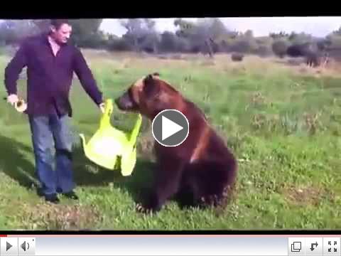 Man Plays With World's Smartest Bear