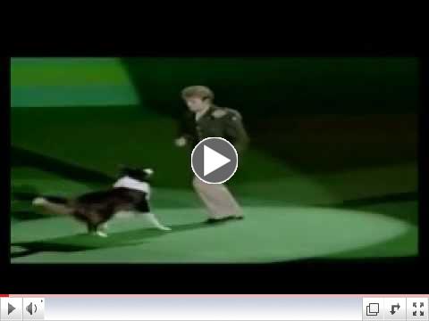 Glenn Miller Routine - Hooked on Swing