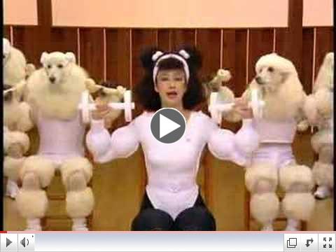 Poodle Exercise with Humans
