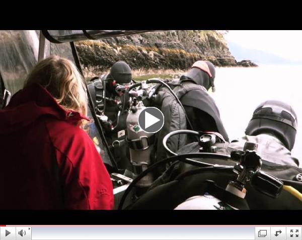 Sea Dragon Charters - Vancouver and Nanaimo locations