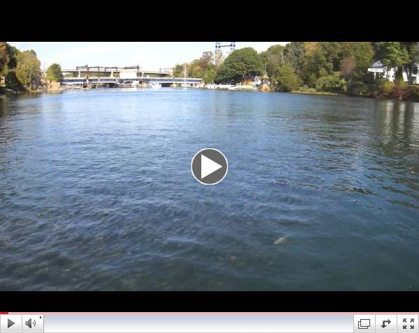 Halloween - paddling with bunker on the Saugatuck River
