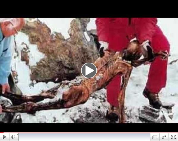 Otzi