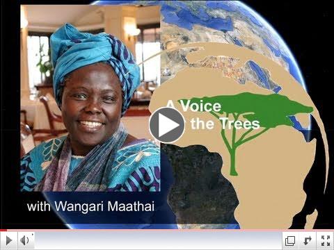 A Voice for Trees, by Wangari Maathai