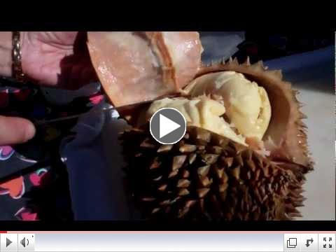 How to Open Durian Fruit