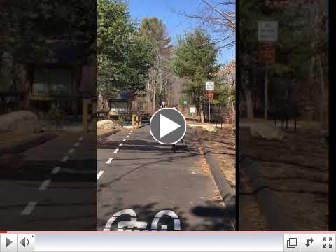 Dr. Rothenberg Skates (usually WITH a helmet!!)