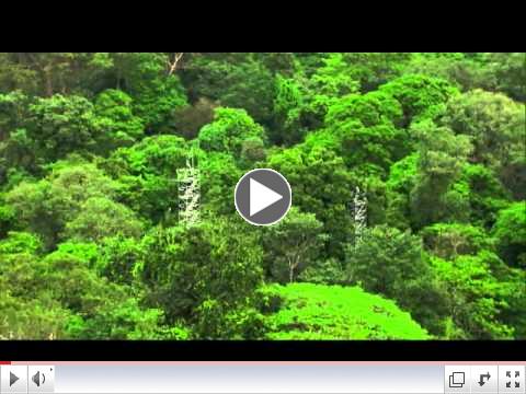 The Organization for Tropical Studies received an award from the NSF