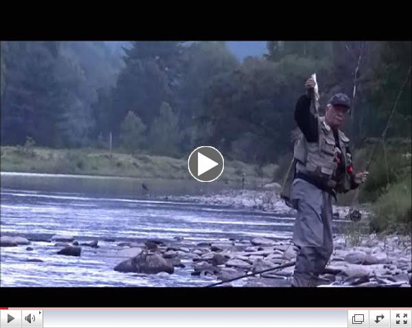 Ed Ryan catching a very nice rainbow on Pine Creek  8-19-2014
