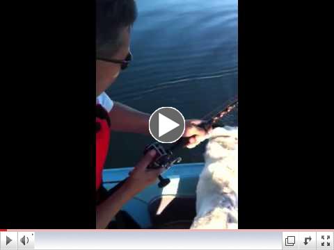 Captain Joel's Fishing Minute Ep. 30