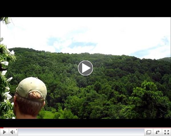 2014 The American Chestnut Foundation Stanback Internship Video Contest