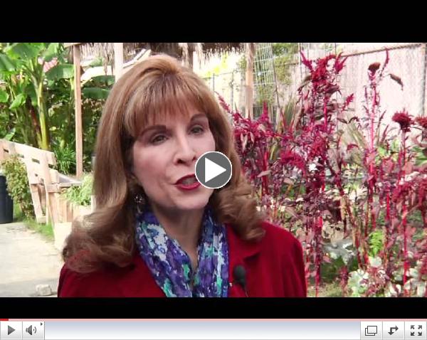Sustainable Ventura - February 2013 Show