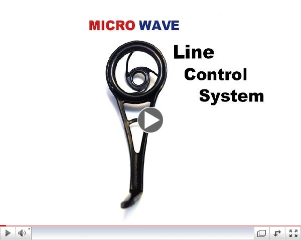 Micro Wave Line Control System