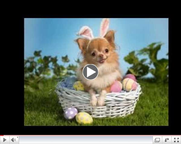'Here Comes Peter Cottontail' - By Gene Autry - Happy Easter