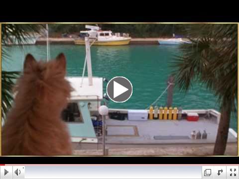 Dolphin and Dog - Song of the Seas by Vangelis.wmv