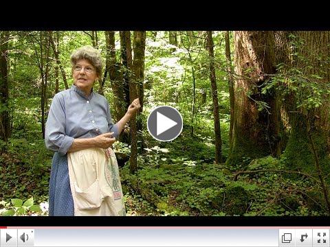 Naturalist of the Smokies: Ila Hatter, A video by Valerie Polk Click above to watch