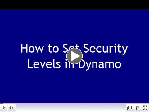 How to Set Security Levels in Dynamo