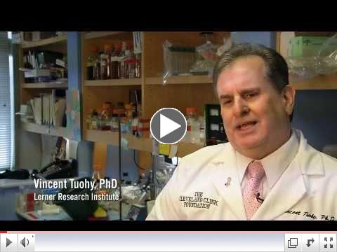 First Steps Toward Breast Cancer Vaccine