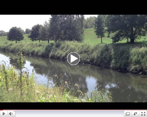 Riparian buffers with the Anacostia Watershed Society
