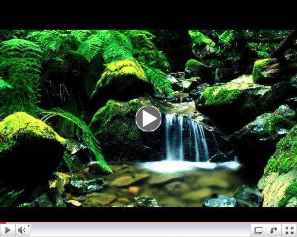 Praise Adonai - Paul Wilbur