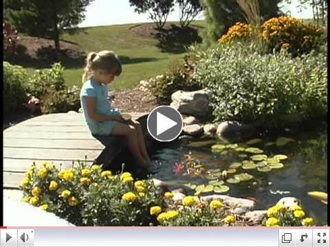 The Water Feature Lifestyle - Your Gathering Place
