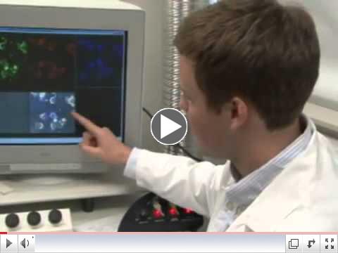 Chex TV- Local Teen Looks to Put an End to a Childhood Cancer