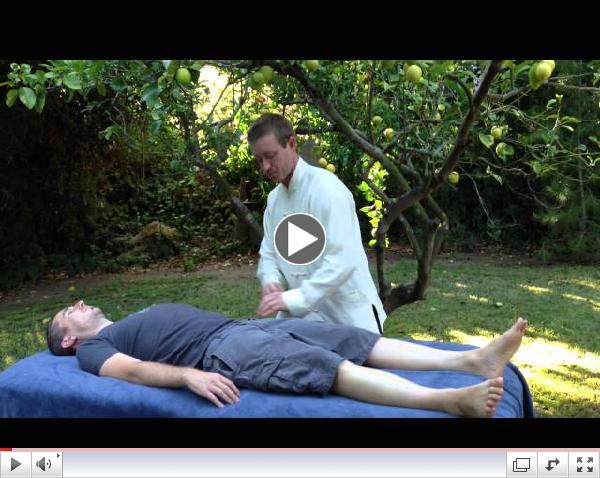 Medical Qigong Preview