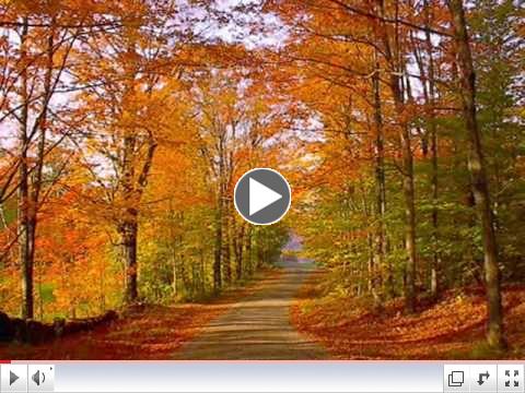 New England Fall Foliage