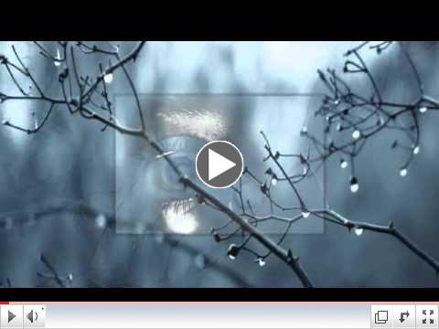 Wintertime - Steve Miller Band