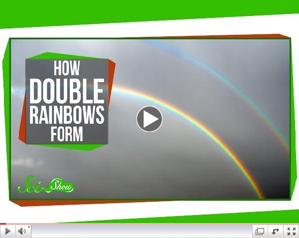 This is cool! LeVar Burton Explains How DOUBLE Rainbows Form