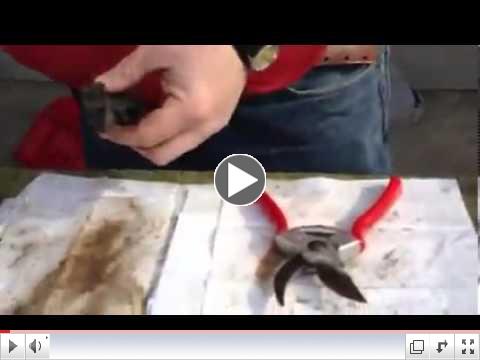 How to Clean a Hand Pruner