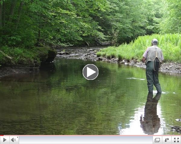 Dick Crawford Takes Us Along On Upper Slate Run