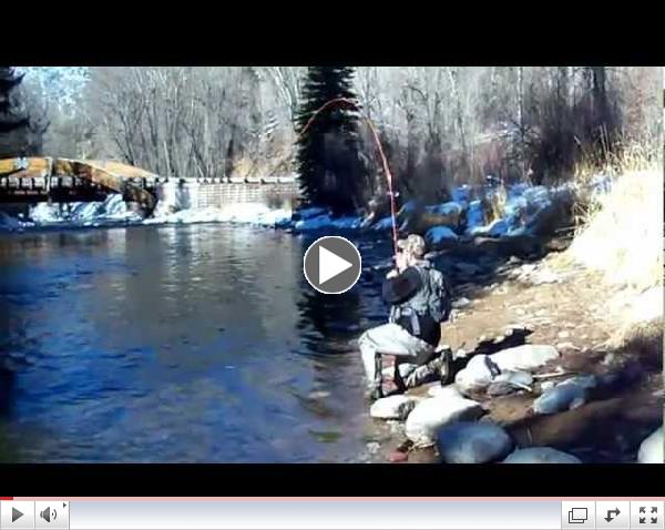 Colorado Winter Fly Fishing