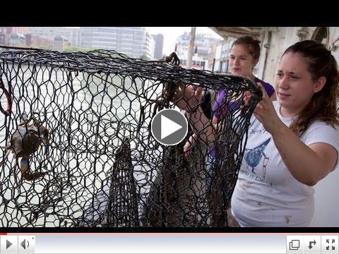 The River Wild | The New School Environmental Studies Program