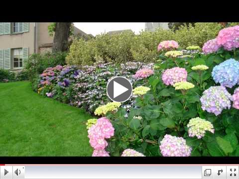 Enhance the Beauty of Your Home with a Flower Garden