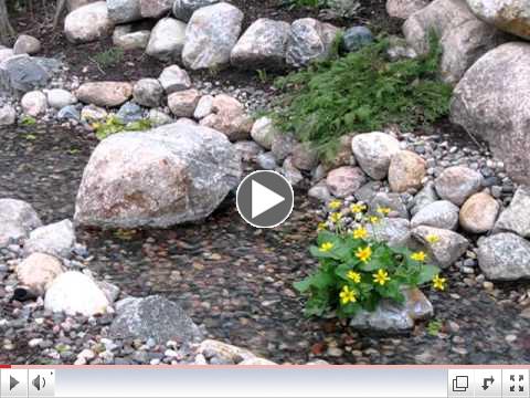 Heidi's_RainGarden.mov