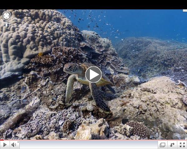 Explore the ocean with Google Maps