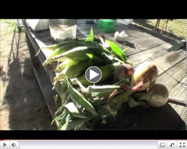 The Power of Growing: movie trailer