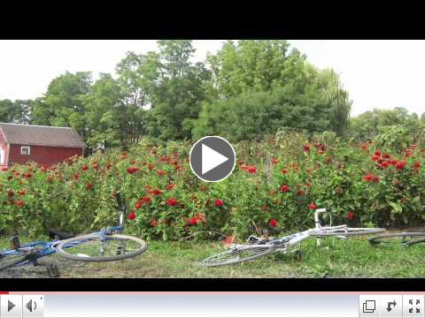 Tour de Farms