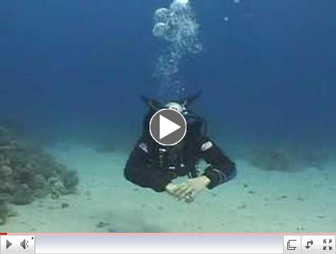 Buoyancy Control And Trim - Scuba