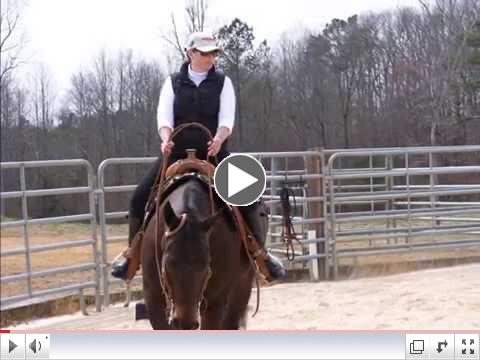 A Song For You - Susan Klaudt Horse Ministry