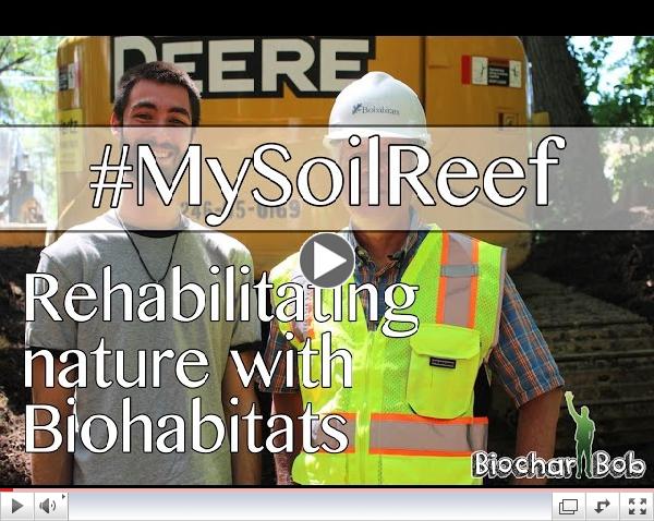 Soil Reef Biochar - Cleaning Storm Water Runoff