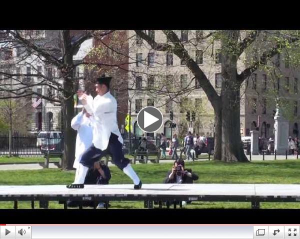 Martial Arts at the World Tai Chi Day Health Festival 2013 - Master Zhou Xuan Yun