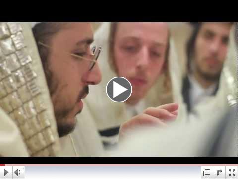 Lipa and the Rubashkin petition