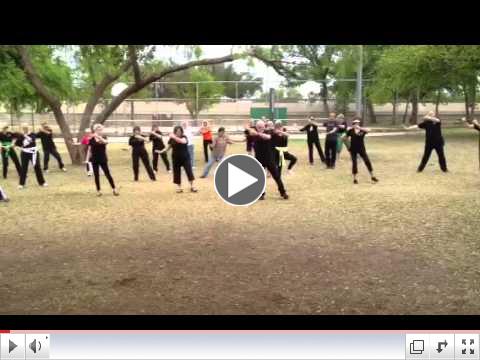 World Tai Chi and Qigong Day 2013