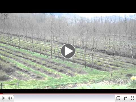 4.10.12 Video Blog