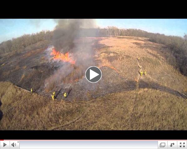 Bluff Spring Fen Prescribed Burn--November 2012