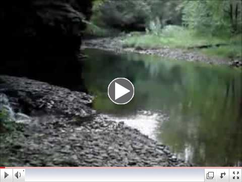 Cedar Run's Tumbling Run Pool